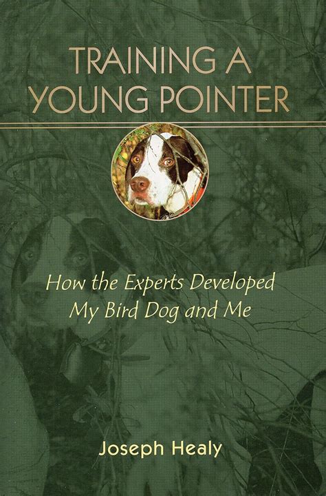 Training a Young Pointer How the Experts Developed my Bird Dog and me Reader