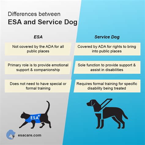 Training an ESA Dog: A Comprehensive 3-Step Guide