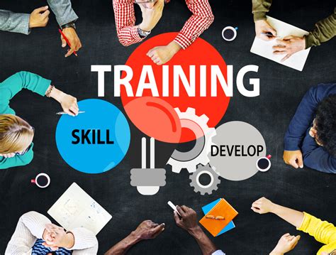 Training and Skills Development: