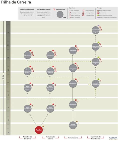 Trajetórias de Carreira