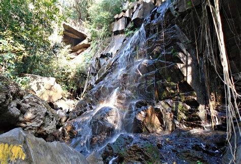 Tranquil Retreat Amidst Natural Splendor