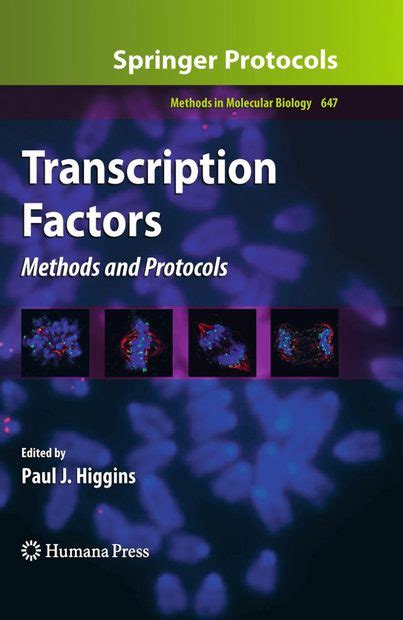 Transcription Factors Methods and Protocols Kindle Editon