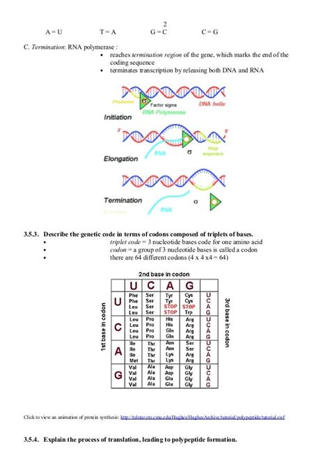 Transcription Translation Notes Answer Epub