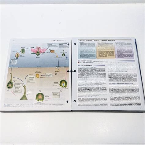 Transform Learning with the Revolutionary Loose Leaf Textbook