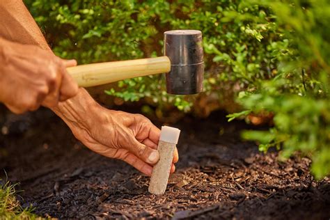 Transform Your Greenery: 10,000+ Ways to Enhance Plant Health with Fertilizer Stakes