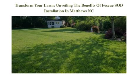 Transform Your Lawn: 5 Unmatched Benefits