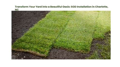 Transform Your Outdoor Oasis with Premium Sod: A Complete Guide to Finding the Nearest Supplier