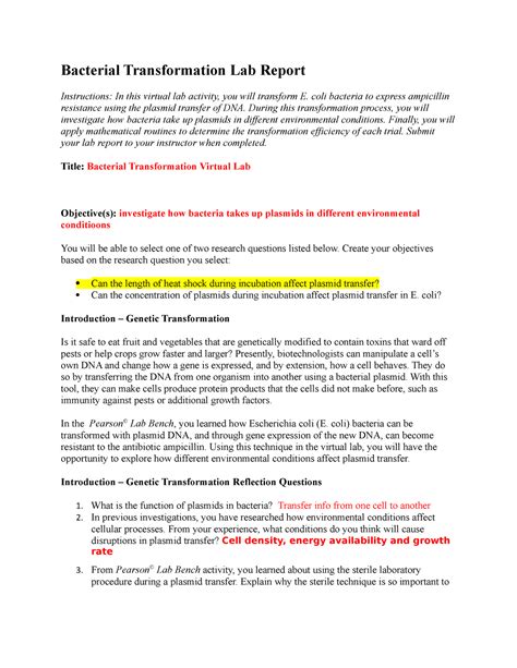 Transformation Lab Answers PDF