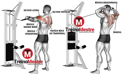 Transforme Seus Ombros com o Treino de Trapézio Definitivo