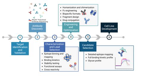 Transforming Antibody Discovery and Protein Analytics: The Power of ADN to PA