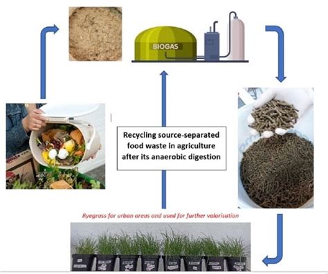 Transforming Organic Waste into Valuable Resources