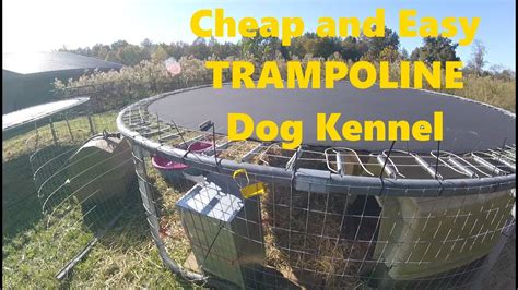 Transforming Your Trampoline into a Cozy Dog Kennel: A Comprehensive Guide