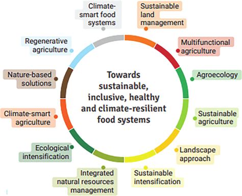 Transforming the Food System
