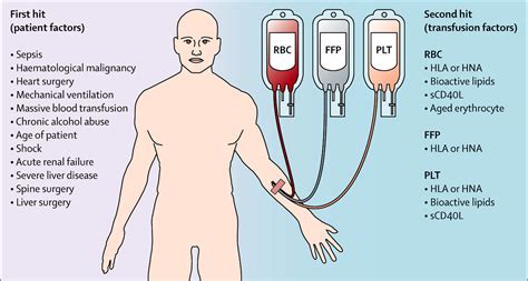 Transfusion 1 of 3 Reader