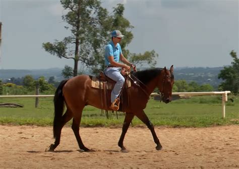 Transições na Tronco para Cavalo