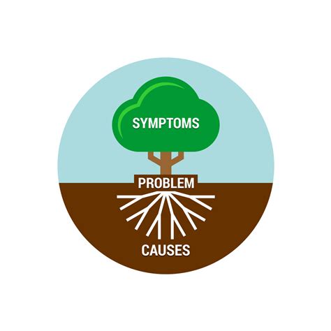 Transition: Understanding the Root Causes