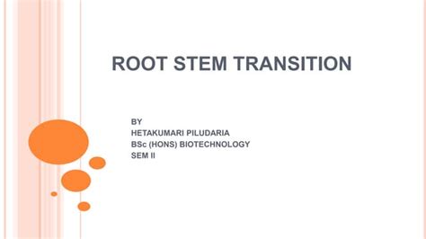 Transition: Understanding the Root of Hangriness