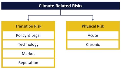 Transition Risk: Navigating the Path to a Sustainable Future