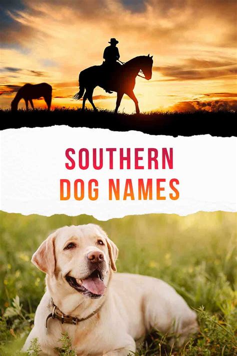 Transition to: Choosing the Perfect Southern Female Dog Name