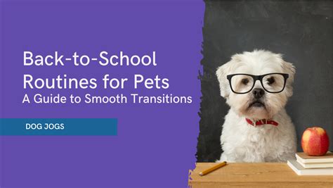 Transition to a Seamless Pet Care Routine