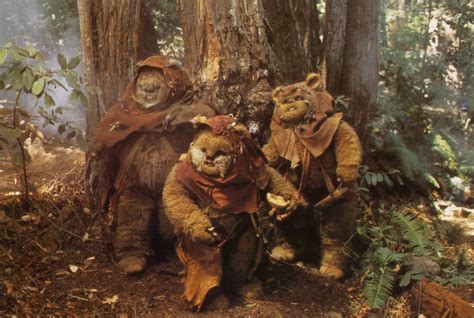 Transitioning into the Ewok Realm