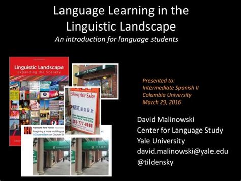 Transitioning through Linguistic Landscapes