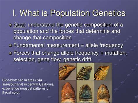Transmission and Population Genetics Reader