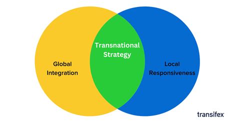 Transnational Management Kindle Editon