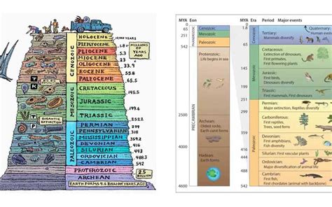 Transparency Geologic Time Scale Answers Doc