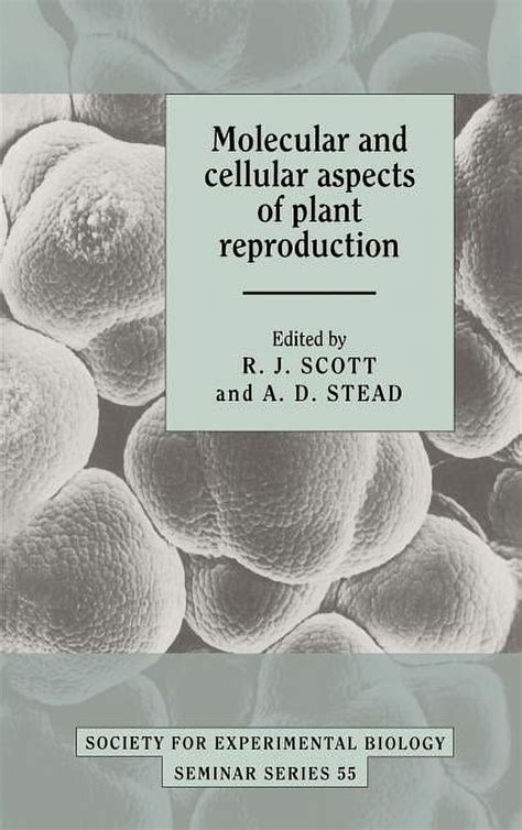 Transplantation Biology Cellular and Molecular Aspects Epub