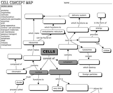 Transport in Cells Answer Key: Unraveling the Intricate Mechanisms of Cellular Movement
