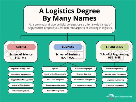 Transportation Management Degree: Paving the Path to Logistics Excellence