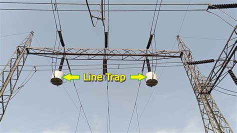 Trap Line Epub