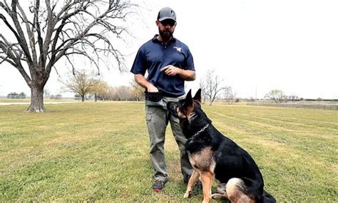 Travis Youth: Unlocking the Potential of Modern Dog Training