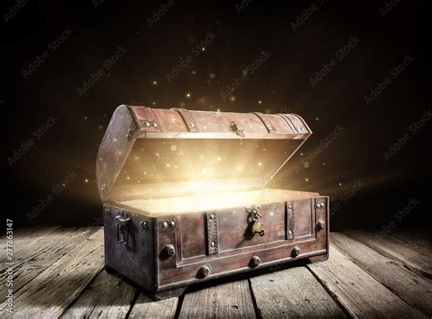 Treasure Chest Trunks: Unlocking 10,000+ Years of Hidden Treasures