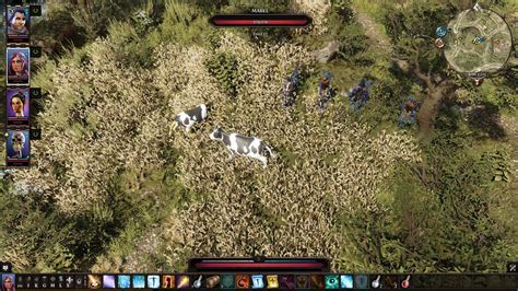 Treated Like Cattle: Divinity 2