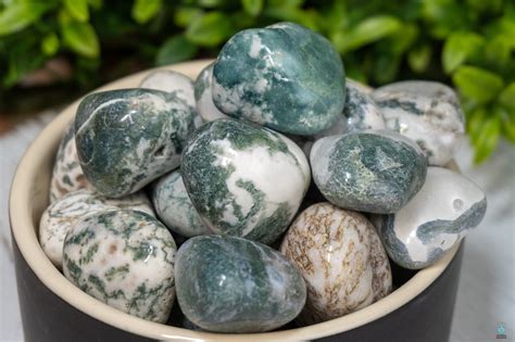 Tree Agate: