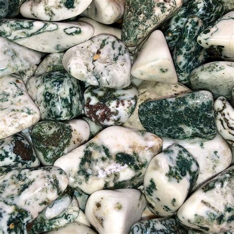 Tree Agate: The Stone of Tree Transformation