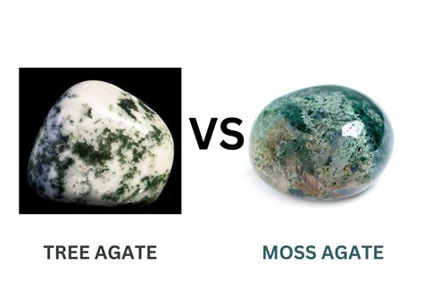 Tree Agate VS Moss Agate: An In-Depth Comparison for 2025