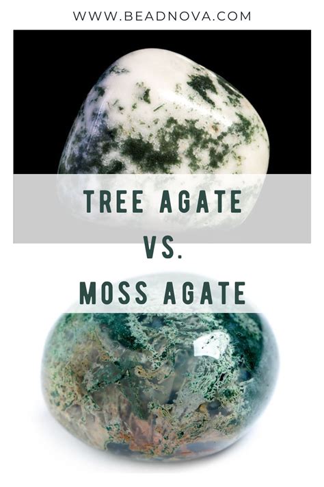 Tree Agate vs Moss Agate: A Comprehensive Comparison