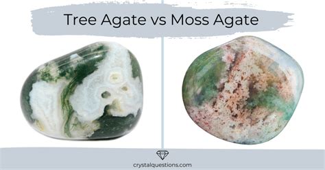 Tree Agate vs Moss Agate: Unraveling the Enigmatic World of Green Agates