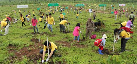 Tree Planting Practices in Temperate Asia Burma Doc