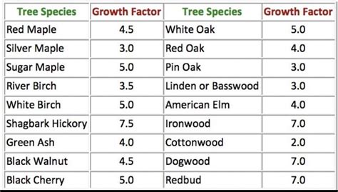 Tree Size and Age: