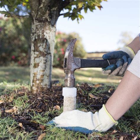 Tree and Shrub Fertilizer Spikes: The Ultimate Guide to Nurturing Your Landscape