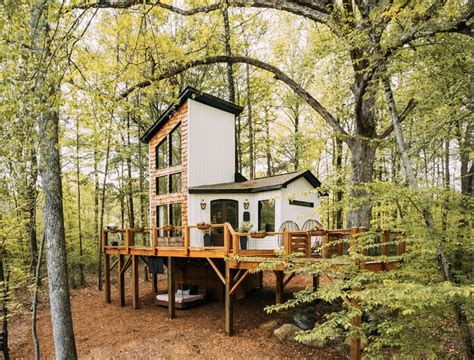 Treehouse Cabins NC: Escape to the Canopy for an Unforgettable Experience