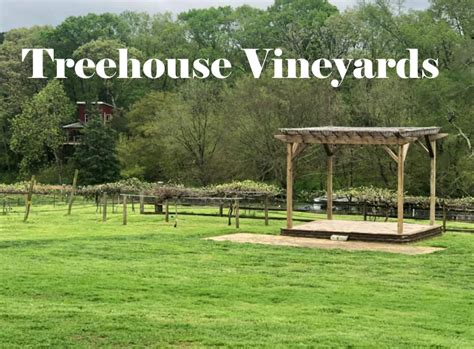 Treehouse Vineyards of Monroe, NC: A Unique Wine Experience