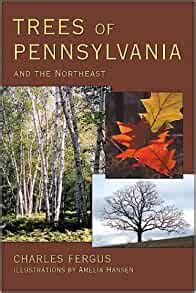 Trees of Pennsylvania and the Northeast 1st Edition Doc