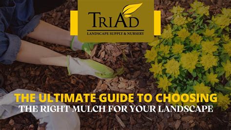 Triad Landscape Supply: Your One-Stop Solution for All Landscaping Needs