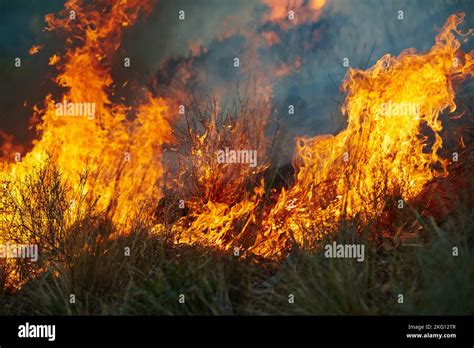 Trial By Fire Going Down in Flames