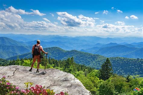 Trial by Trail Backpacking in the Smoky Mountains PDF